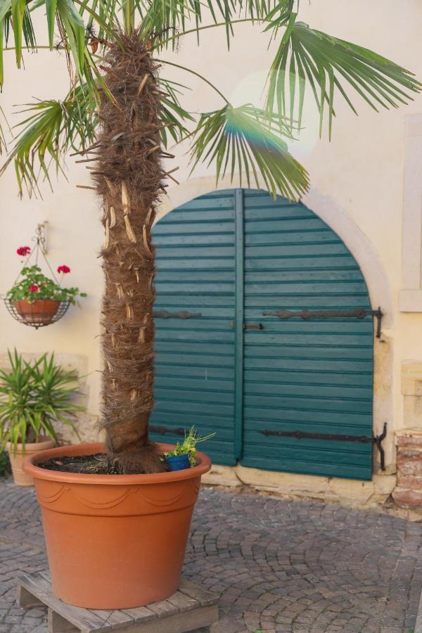 Ferienwohnung Im Sternenhof Grosskarlbach Dış mekan fotoğraf